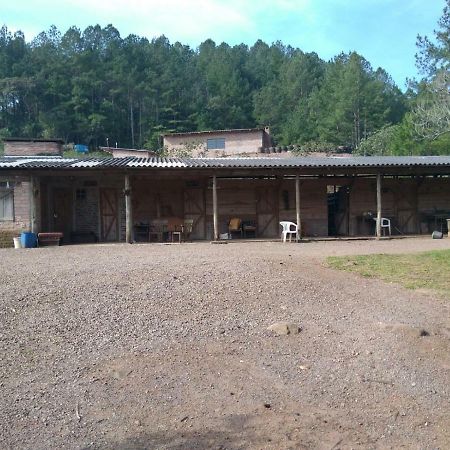 Pousada Paraiso Santa Cruz do Sul Exterior foto